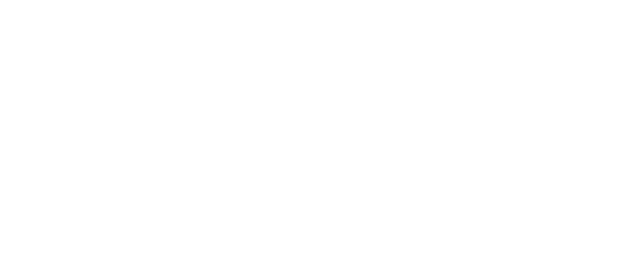 Navig Partners